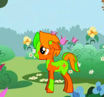 My Last Pony :)