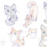 Cat Studies