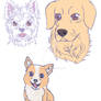 Dog Studies