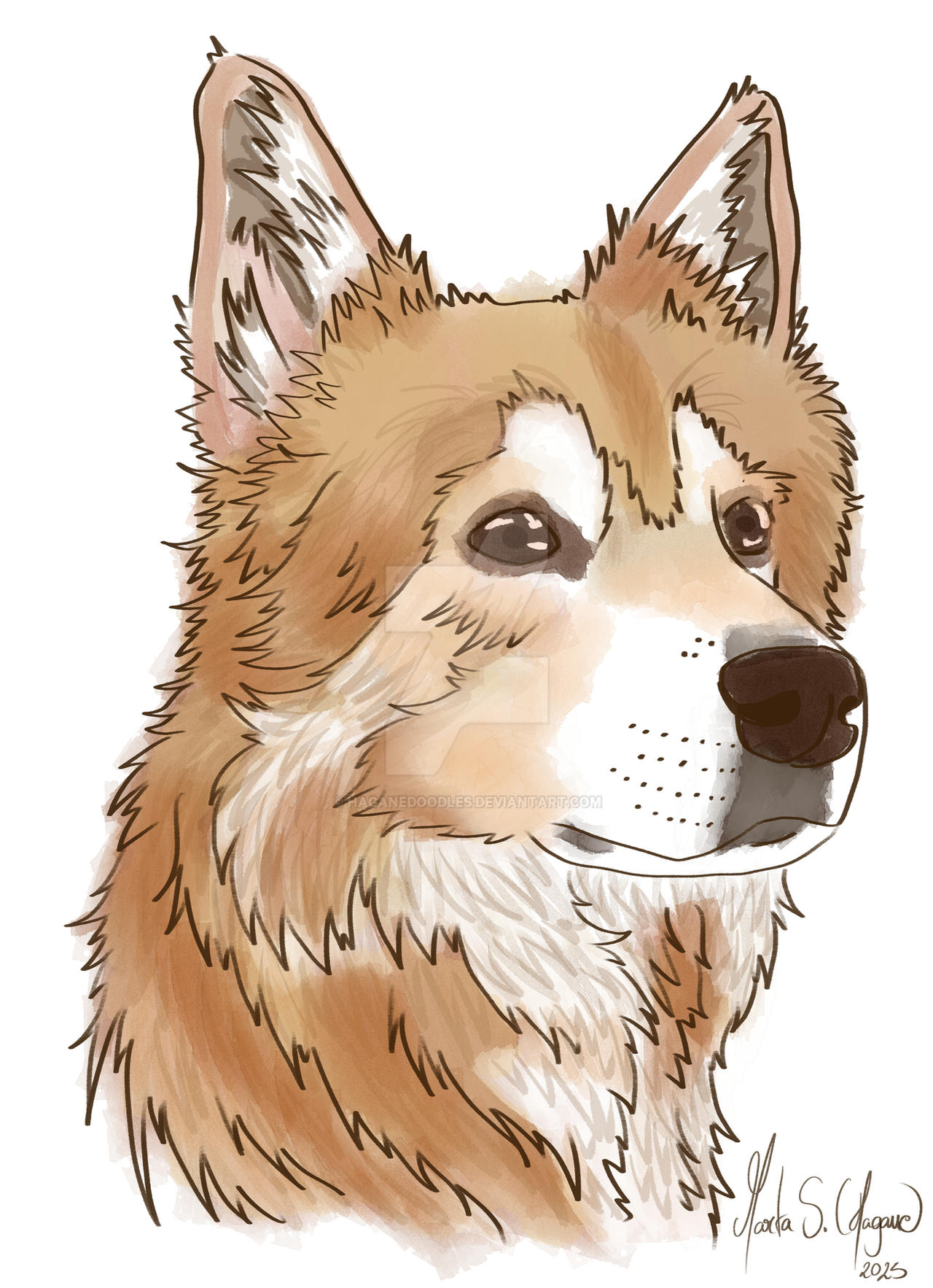 Fox (commission)