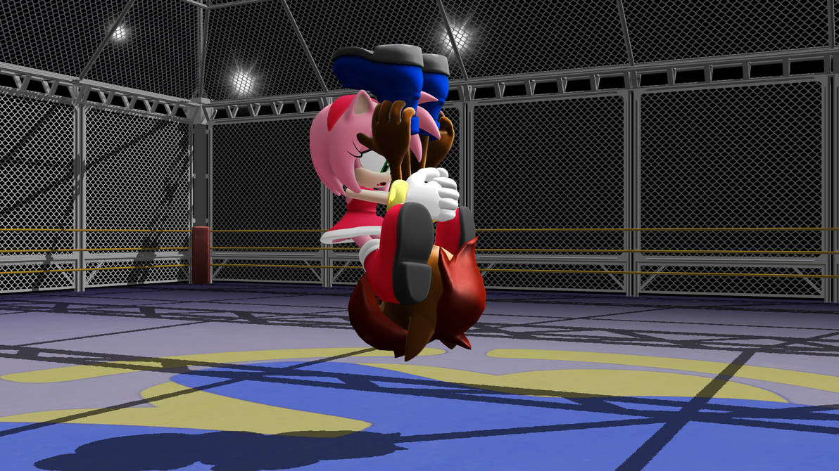 Amy Computer Enterprise Amy is ending this match by Lavells-Enterprise on DeviantArt
