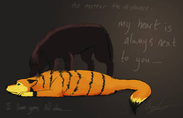 No matter the distance...