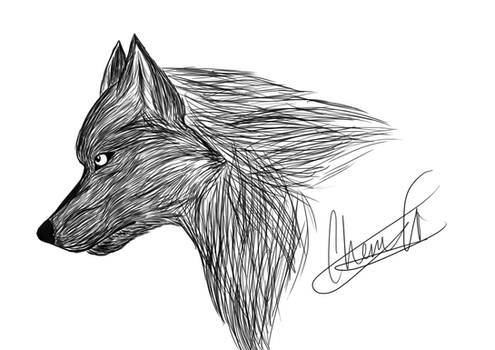 Fur wolf thing