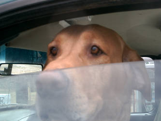 Old-Fashioned Truck Gaurd