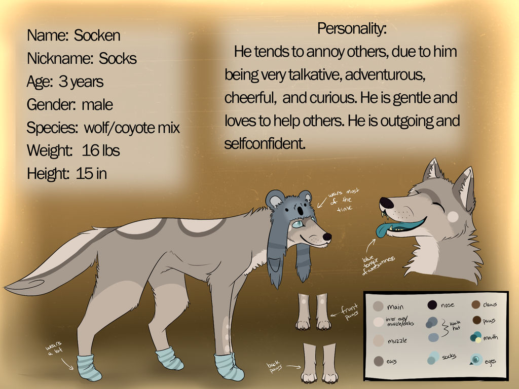 Socks Reference Sheet by Spottedfire23 on DeviantArt