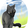 Smokeface of Windclan