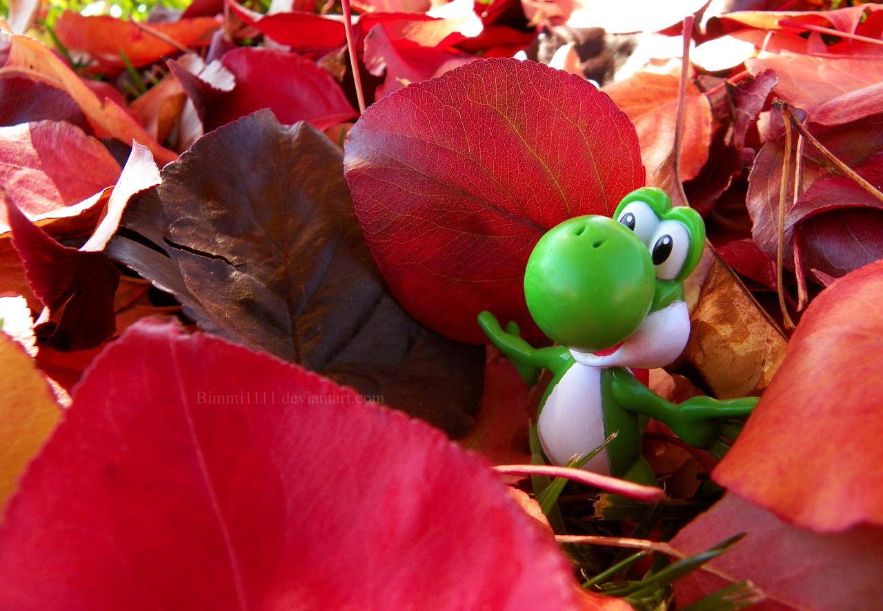 It's fall, Yoshi!