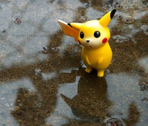 Pikachus rainy day