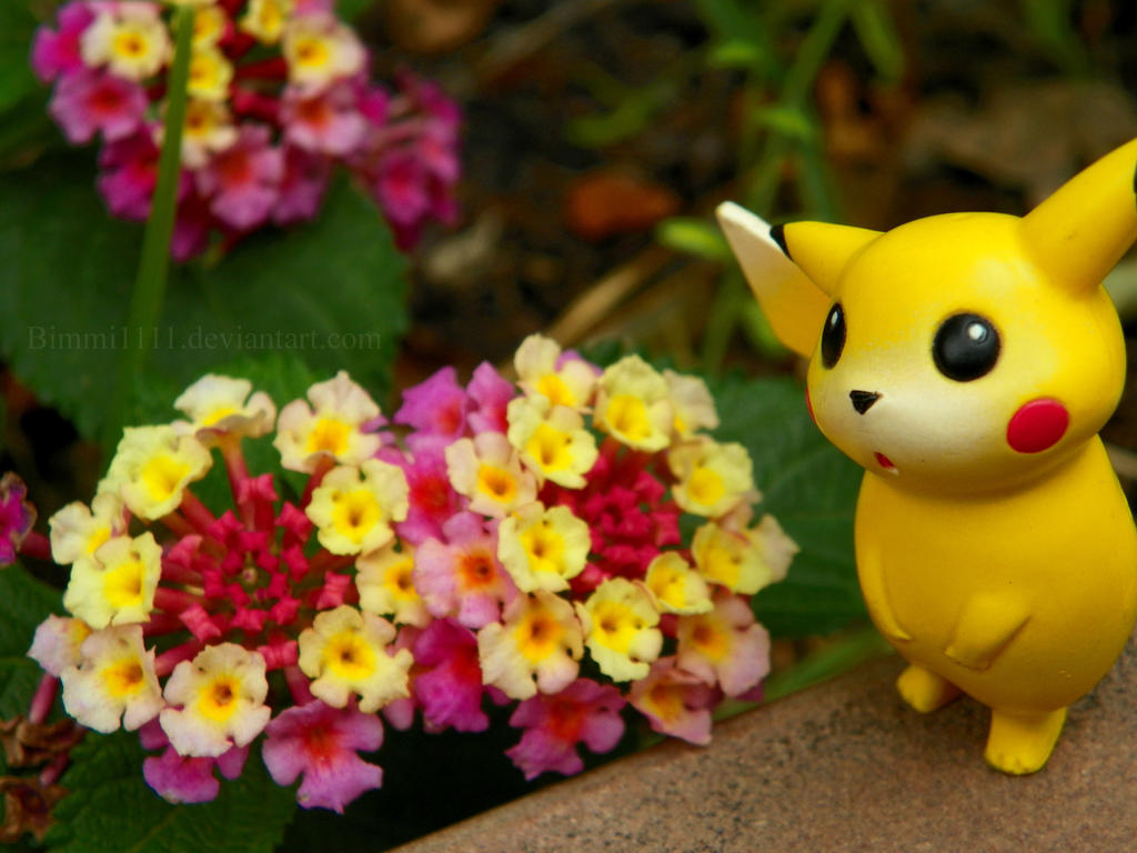Take time to smell the flowers, Pikachu!