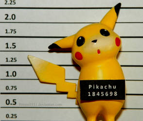 Pikachu's Mugshot