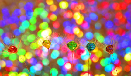 Rainbow Wishes by Bimmi1111