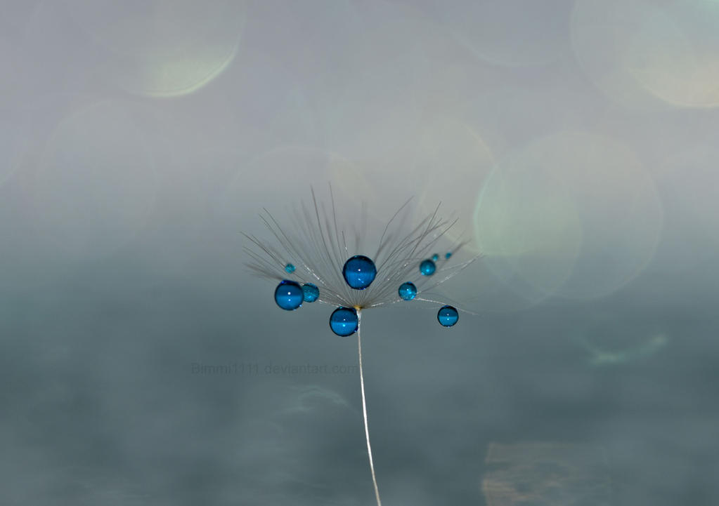 blue droplets
