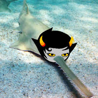 Sawfish