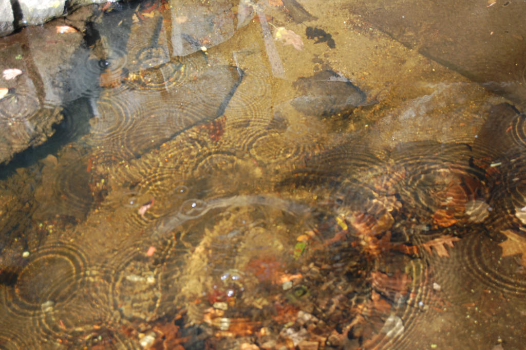 Stream Hole Ripples Ripples In The Stream. by DarkPoemPhotography on DeviantArt