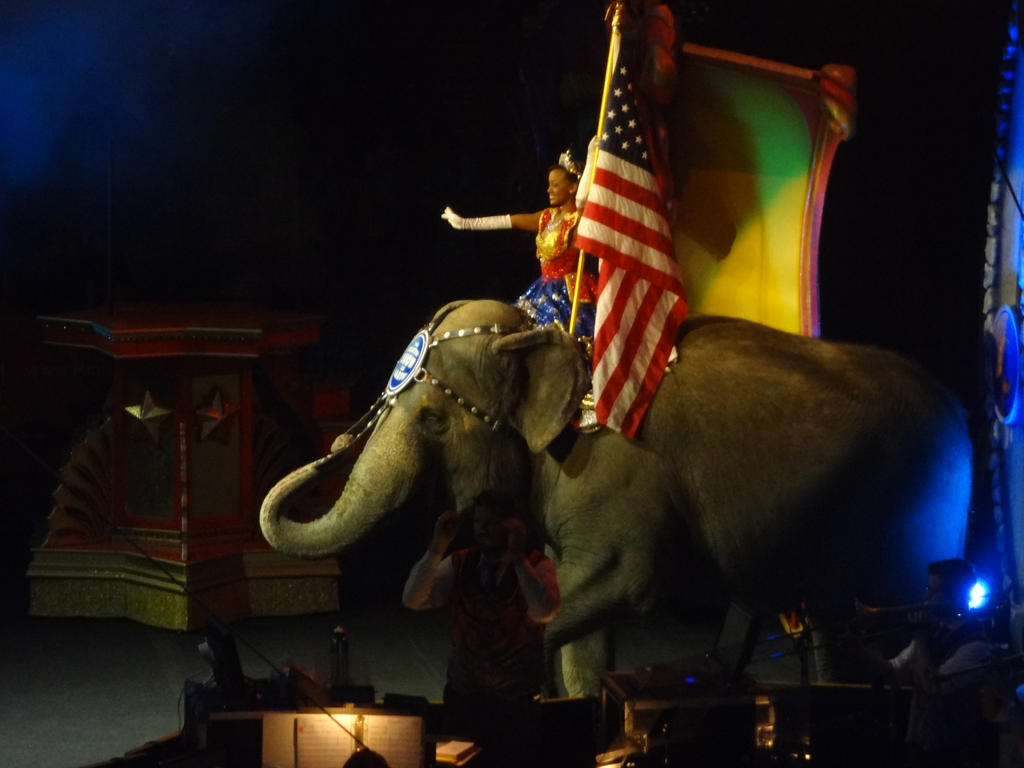 ride that elephant girl by omarvel1 on DeviantArt