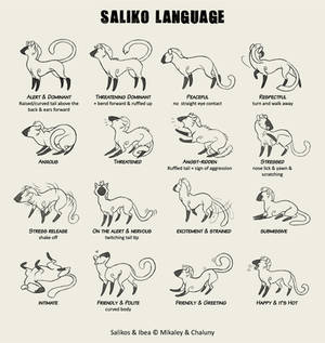 Saliko Language