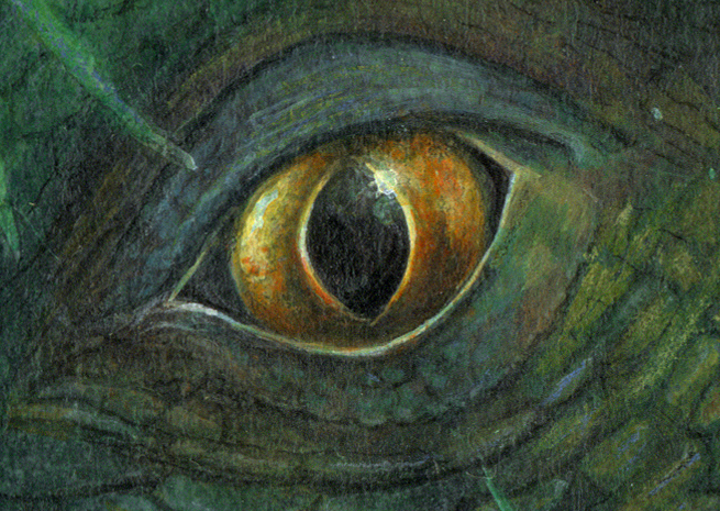 woodland dragon detail eye