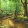 Heart Of Woods By Aldafea