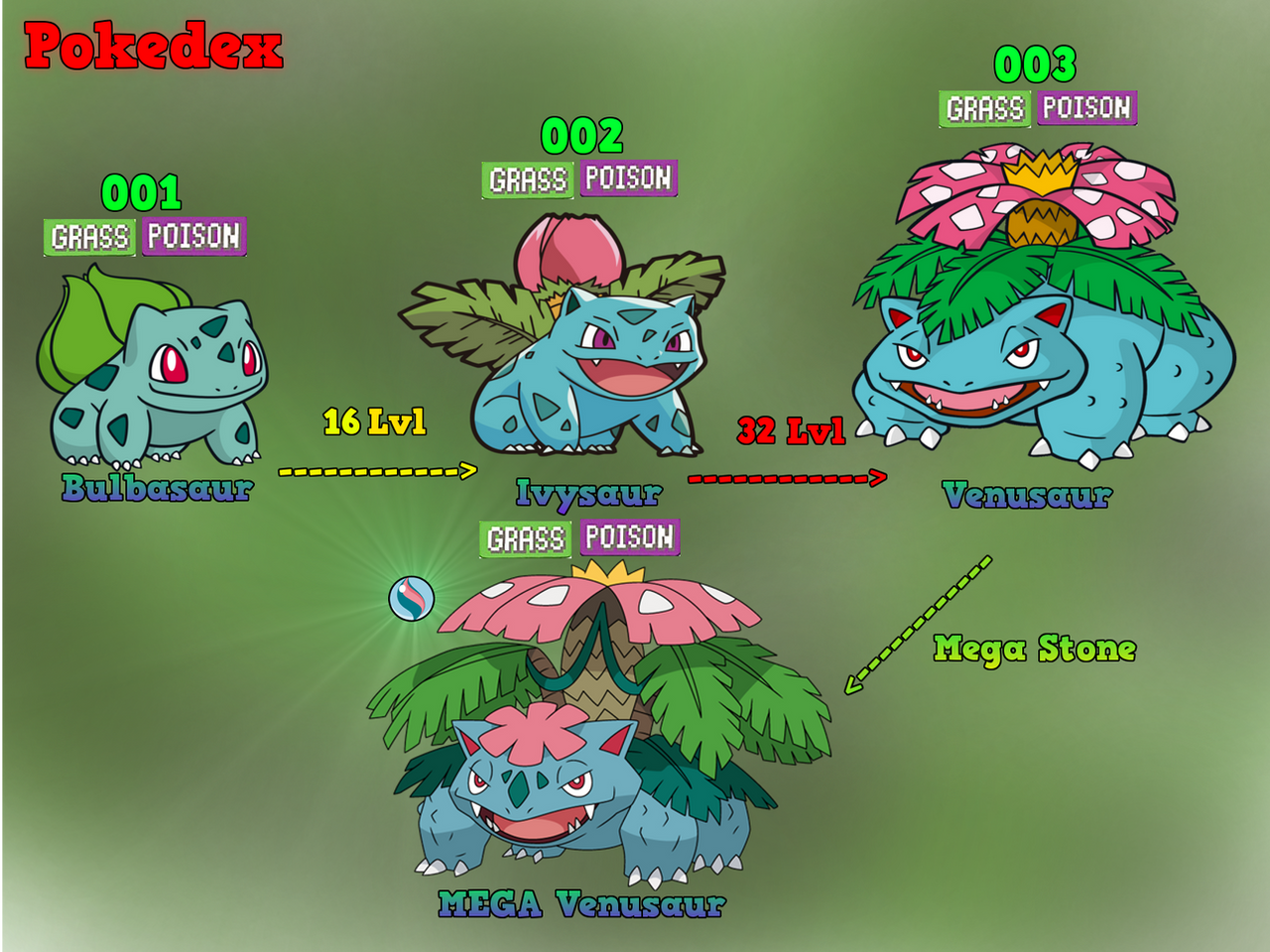 Bulbasaurus Evolution Tree of Evolution: Bulbasaur by MawileXY on DeviantArt