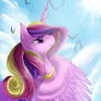 cadance