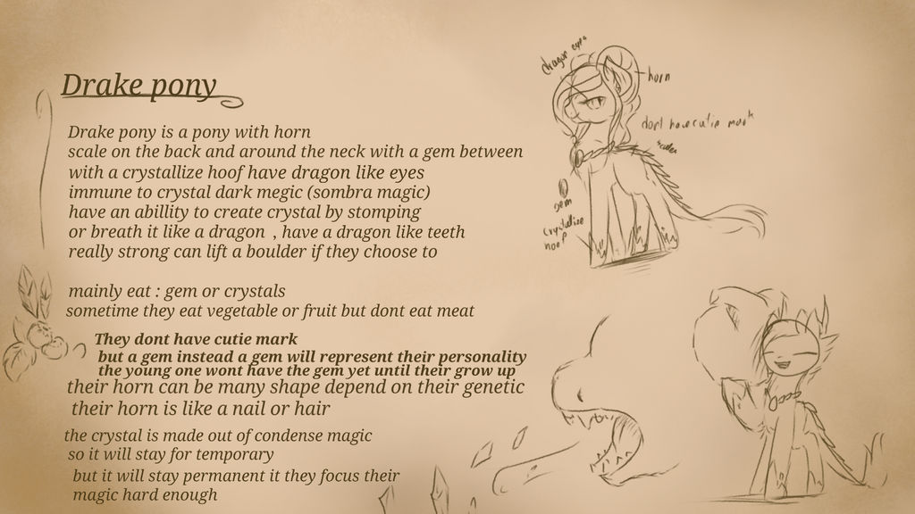 Info on drake pony