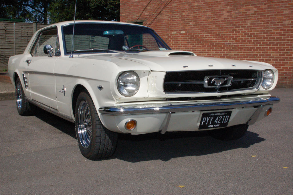 white mustang