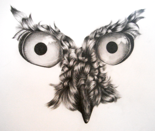 Owl Drawing WIP (Stage 1)