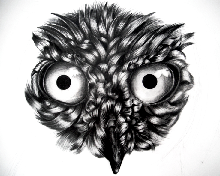 Owl Drawing WIP Stage 3