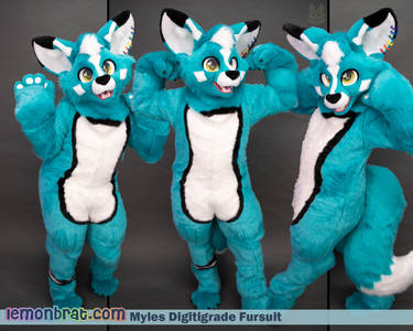 Myles Digitigrade Fursuit