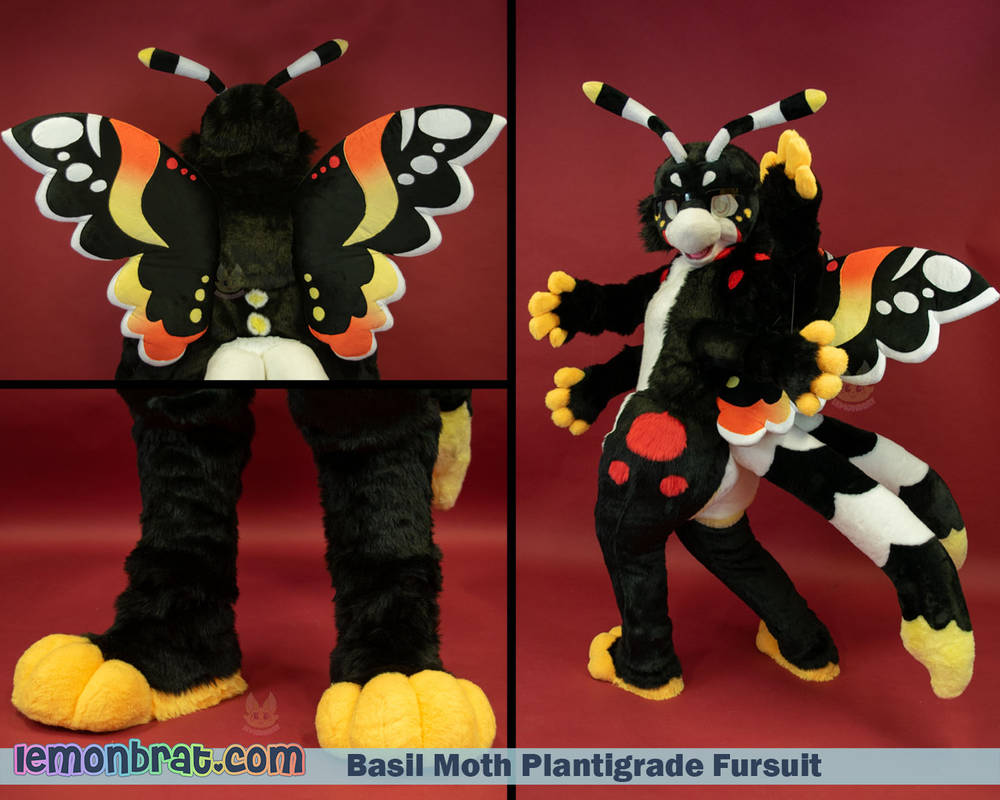Basil Moth Plantigrade Fursuit April 2022 by lemonbrat on DeviantArt