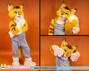 Faux Partial Fursuit - August 2023