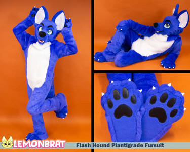 Flash Hound Plantigrade Fursuit - August 2023