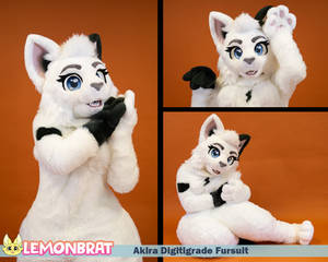 Akira Digitigrade Fursuit - August 2023