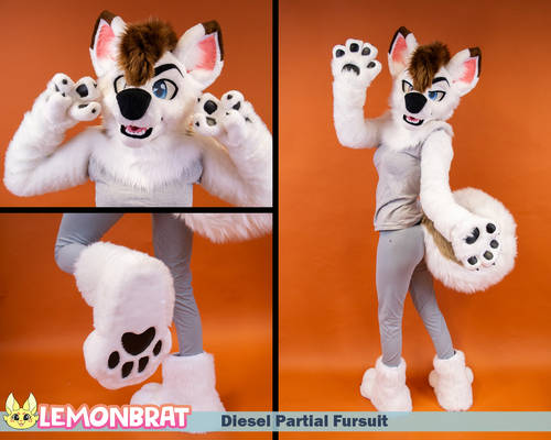 Diesel Partial Fursuit - August 2023