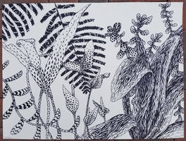 Drawing I Plants II