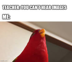 Another Red Birb Meme