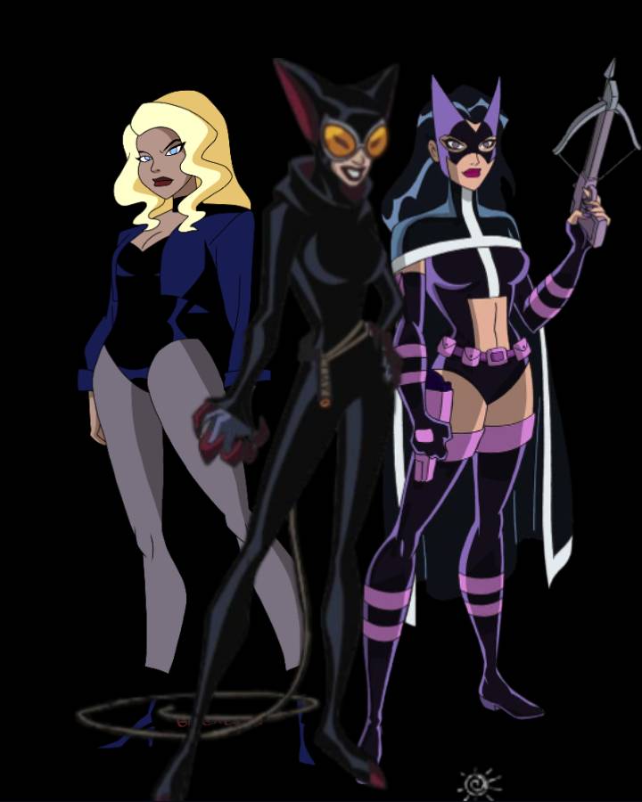 Catwoman and The Birds of Prey by NutBugs2211 on DeviantArt