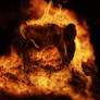 Burning Bridges
