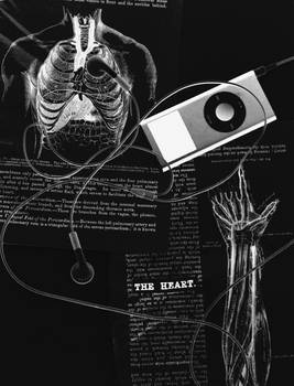 Music is the Heartbeat