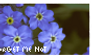 forget me not stamp