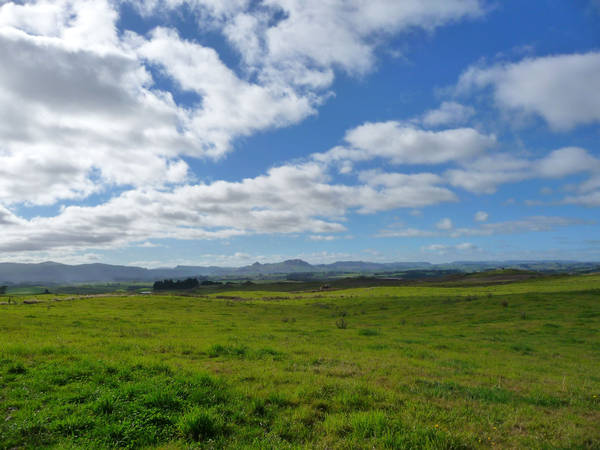 Green green grass by Lemondjinn