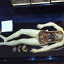 Wax anatomy doll II