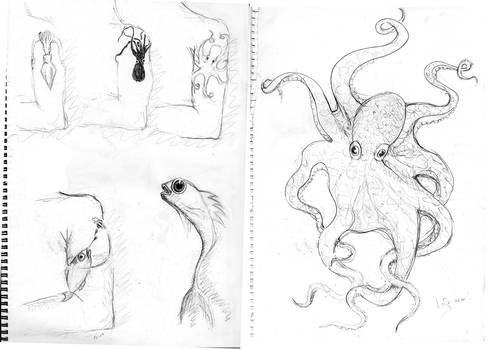 Octopus tattoo design