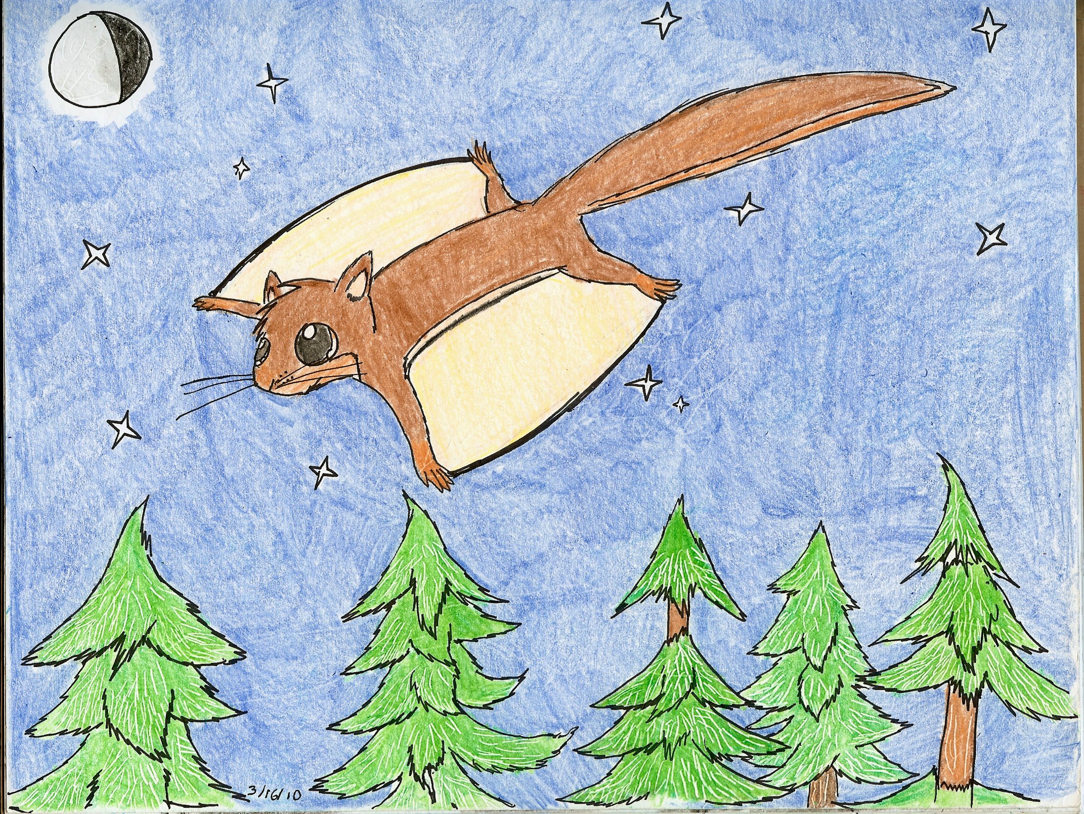 Draw Flying Creature How To Draw A Flying Squirrel