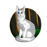 Ivypool