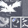 Phoenix Agniya Reference Sheet 2012