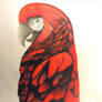 Red parrot