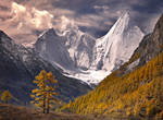 Fall in the Himalaya by michaelanderson