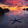 The Shallow Seas
