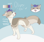 Oliver Reference by dixiestickz